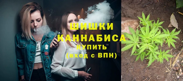 винт Богданович