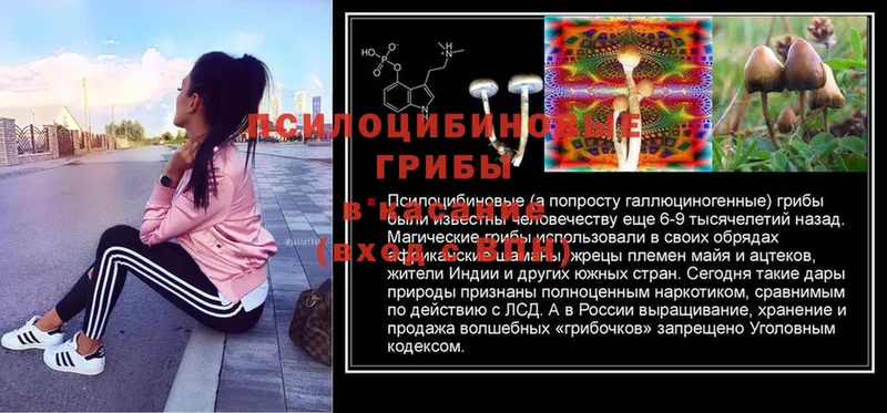 Галлюциногенные грибы мухоморы  Волгоград 